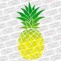 Pineapple - V1