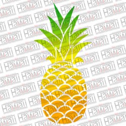 Pineapple - 2