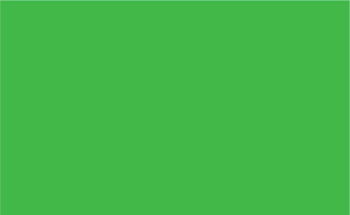 PSV Bright Green